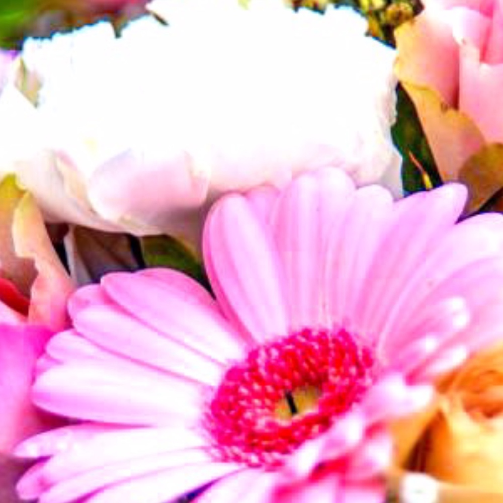 Meet your Posher, Manny